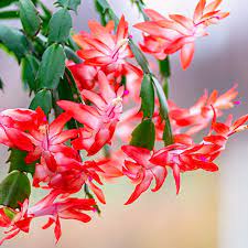 Fall Harvest Wreath - Image 4